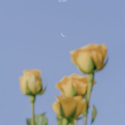 阿拉德战争小游戏(暂未上线)v1.0 安卓版