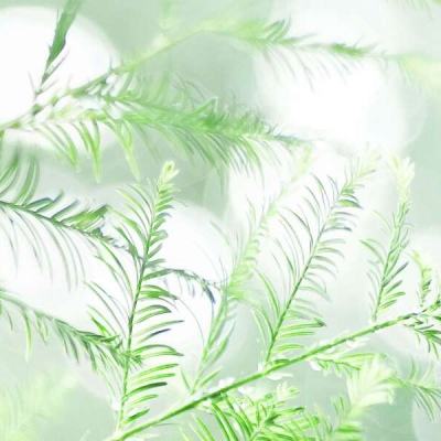 逆风寒手游7a互娱下载